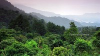 Panorama di Sitinjau Laut