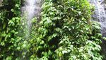 Sekali Mendayung di Sungai Ayung, Dua-Tiga Keindahan Terlampaui