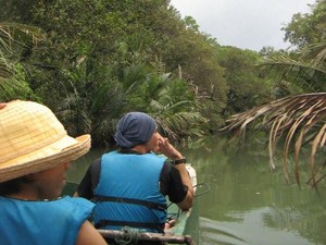 Sensasi Hujan Saat Berperahu di Hutan Bakau