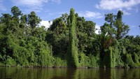 Pemandangan indah seperti ini banyak ditemui di tepi sungai Siretz hingga Daerum