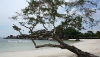 Pantai Tanjung Tinggi