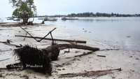 Pantai pulau Rengit saat surut di pagi hari