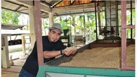 Kopi saat fase pengeringan