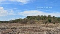 Savana yang masih menyisakan aroma kemarau..konon ketika kemarau sungguh mirip seperti di Afrika