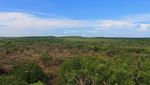 Siapa Perlu Pergi ke Afrika dan Australia Bila Ada Baluran