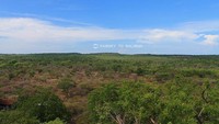 Padang rumput yang menurut saya mirip padang rumput di film Australia