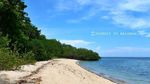 Siapa Perlu Pergi ke Afrika dan Australia Bila Ada Baluran