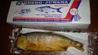Bandeng Presto (blogemasadi.blogspot.com)
