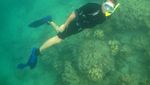 Snorkeling Di Cubadak