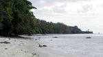 Snorkeling di Gugusan Terumbu Karang Pulau Mansinam
