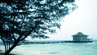 Pulau Smackdown