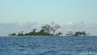 Pulau Raimuti di Kawasan Arfai Manokwari yang terancam habis dikikis ombak dan arus laut.