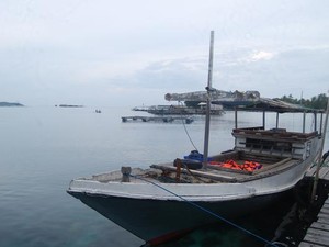 Snorkling Pertama di Karimun Jawa