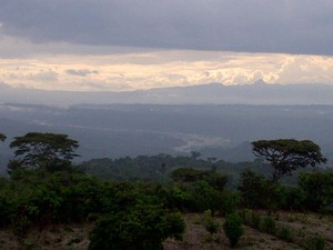 Soe di NTT, Hutan Twilight Ala Indonesia