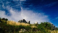 Stone Garden