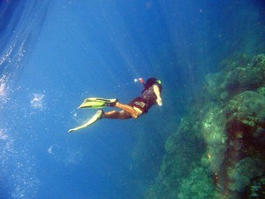 Suatu Pagi di Bawah Laut Lovina