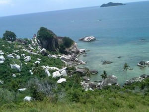 Suguhan Eksotik, Dari Bukit Tanjung Senubing dan Pantai Tanjung