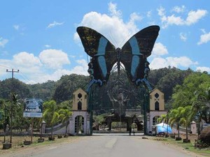 Surga Kupu-Kupu di Taman Nasional Bantimurung Bulusaraung