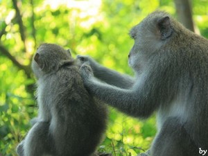 Surga Tersembunyi di Lombok