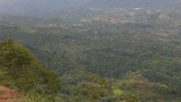 Hamparan hutan dan bukit di takengon (detiktravel)