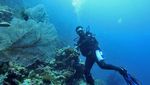 Taman Laut Kepulauan Padaido: Taman Laut Penuh Kejutan