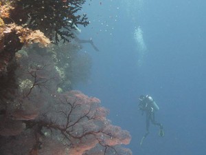Taman Laut Pulau Ai