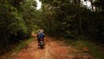 Taman Nasional Bukit Tigapuluh (TNBT)