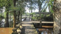 Pohon-pohon disekeliling Taman Wisata Kumkum