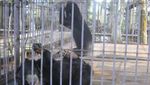 Taman Wisata Kumkum, Tempat Berteduh dari Sinar Mentari