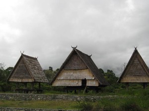 Tambi dan Buho, Arsitektur di Lembah Bada