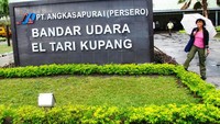 Saya dan Kupang.