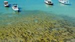 Tanjung Bira, Tempat Berlibur Seperti di Surga