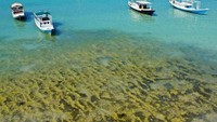 Laut di Pantai Tanjung Bira (dok. Aulia Indra/dtraveller)