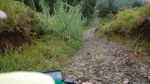 Telaga di Puncak Pegunungan Dieng Plateau