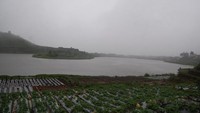 Di sekitar telaga terdapat lahan pertanian