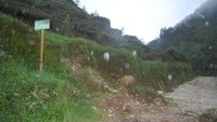 Jalan untuk mendaki Gunung sikunir