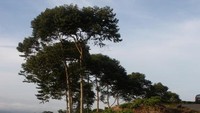 Penduduk Mulai Turun Gunung
