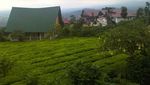 Temukan Keindahan Pagi di Pagaralam