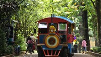 Kereta mobil untuk anda yang capek jalan