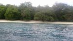 Terumbu Karang Pulau Manem yang Menawan