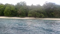 Pulau Manem yang ditutupi pepohonan hijau dan dikelilingi hamparan pasir putih