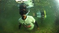 Aku Cinta Indonesia di hutan bakau Sindangoli