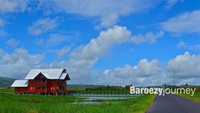 Villa Merah di tengah sawah nan hijau