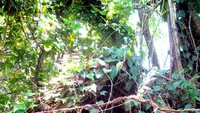 Pintu Masuk Museum Ullen Sentalu