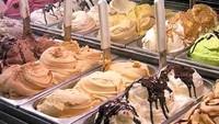 berbagai macam es krim dari olahan susu (bmc.web.id)
