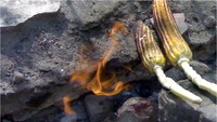 Jagung yang sedang dibakar (iniarif.blogspot.com)