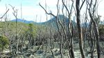 Yaah! Gunung Papandayan Ditutup Saat Tahun Baru
