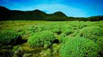 Yaah! Gunung Papandayan Ditutup Saat Tahun Baru