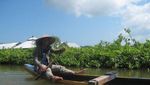 Yuk! Berwisata ke Kampung Laut Cilacap