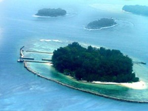 Yuk! Lihat Pari Raksasa